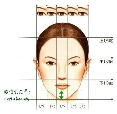 下庭飽滿|面相學裡的「三庭」究竟怎麼回事？